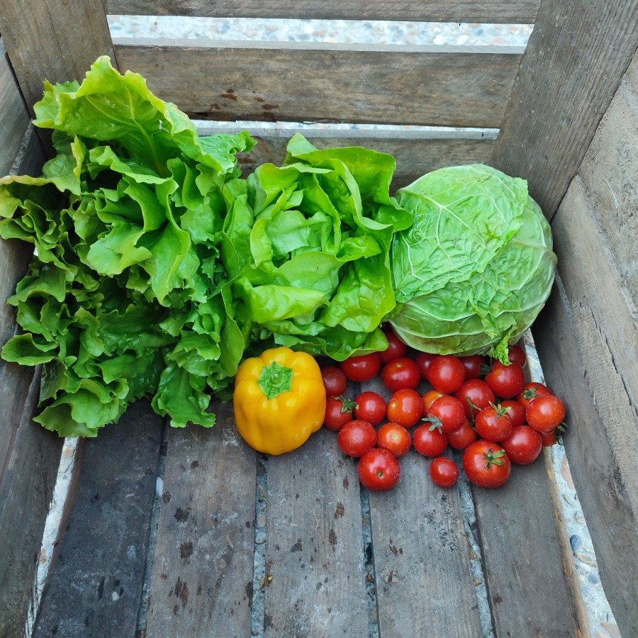 Biologische groenten middelburg